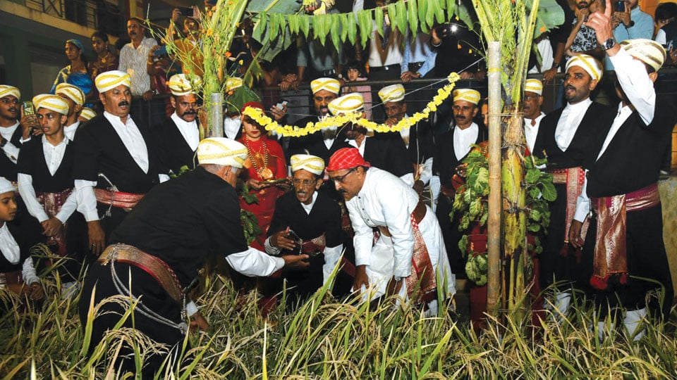 ‘Puttari’ festival celebrated with pomp and gaiety in Mysuru