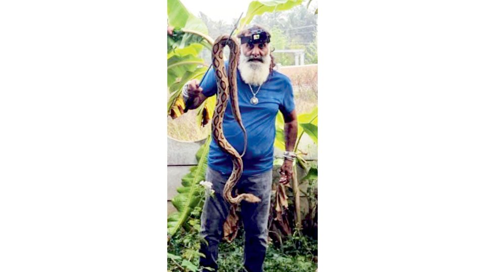 Snake Shyam warns of increased snake activity during mating season