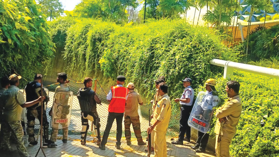 Leopard scare at Mysuru Infosys campus- Drone camera being used to trace wild animal: Forest Minister