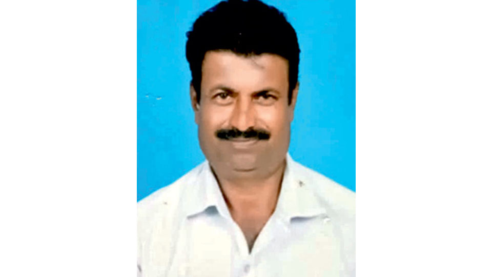 Farmer, cows electrocuted