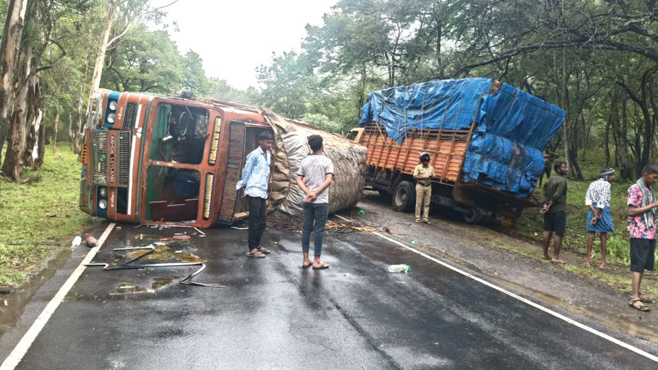 Traffic hit for six hours as truck topples on Chamarajanagar-Sathyamangala Road