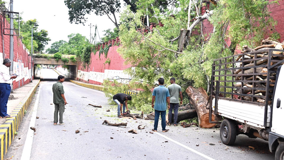 Rain fury: MCC ready with precautions