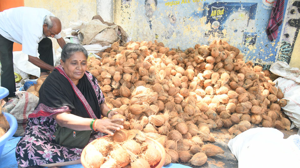 Coconut prices soar amid surge in tender coconut demand