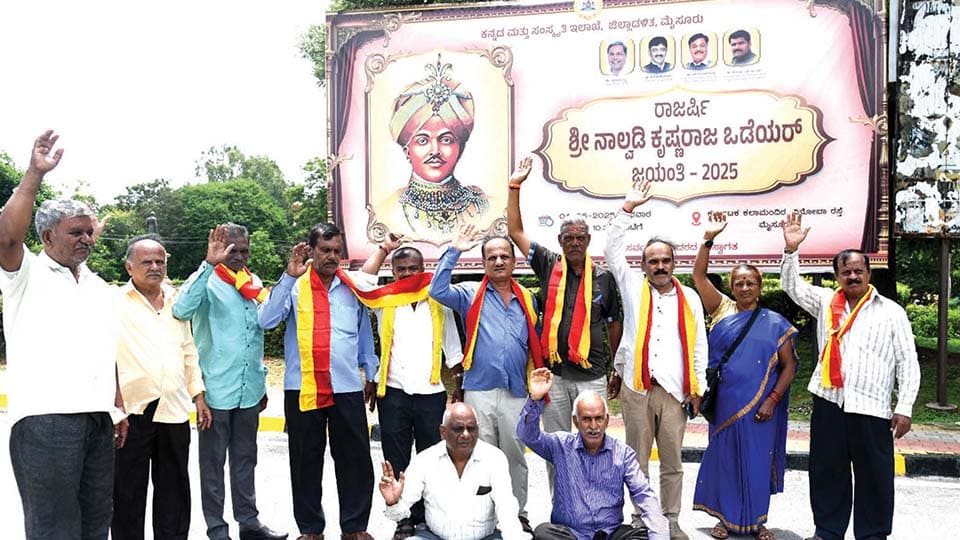 Mysuru Kannada Vedike stages protest against proposed amusement park at KRS