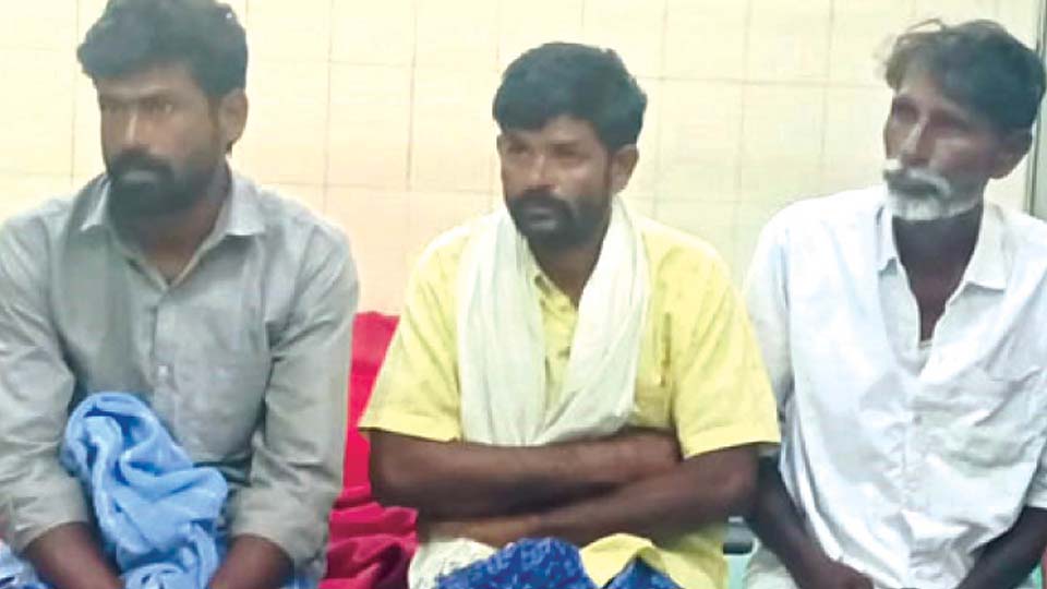 Tiger deaths at MM Hills: Authorities make changes to Investigation Team