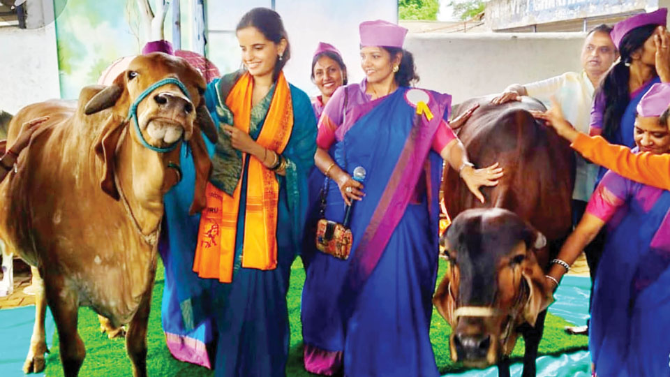 Fundraiser celebrates cow welfare at Pinjrapole