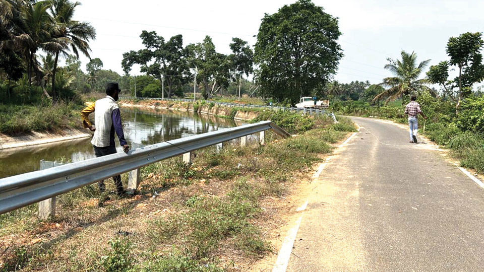 Crash barriers constructed along 35-km stretch of VC Canal: DC