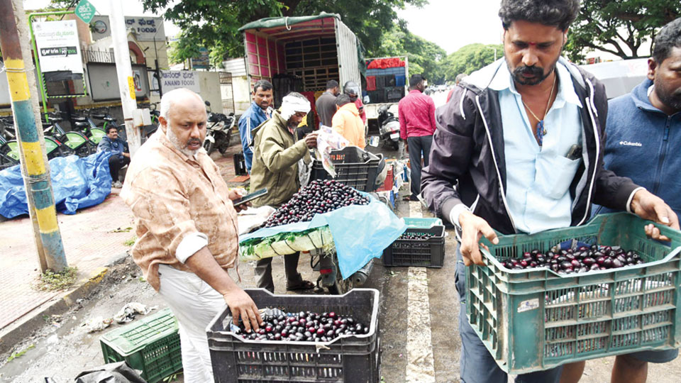 City streets abuzz as jamun joins mango season frenzy