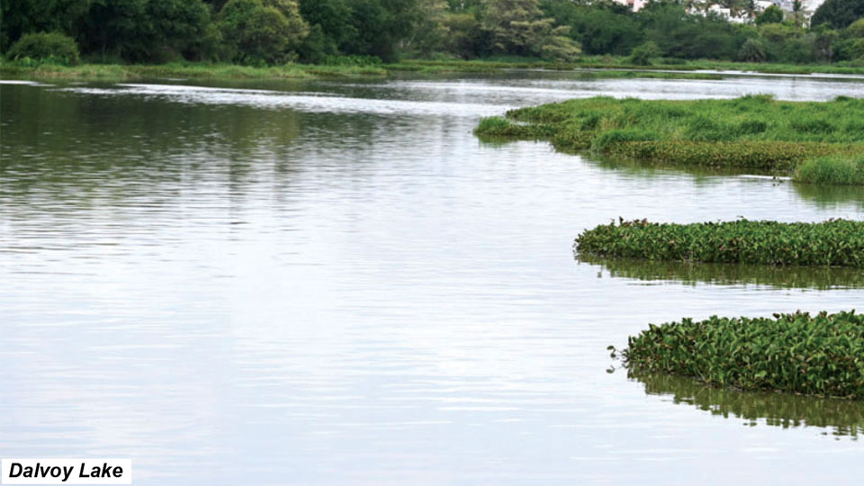 Rs. 40 crore facelift for 6 Mysuru Lakes