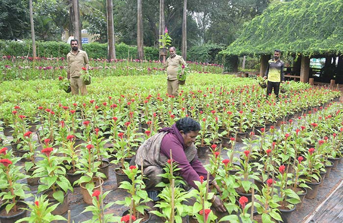 Dasara Flower Show