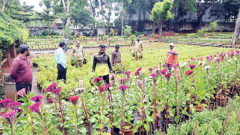 Dasara Flower Show: Floral replicas, one lakh blooms to dazzle visitors