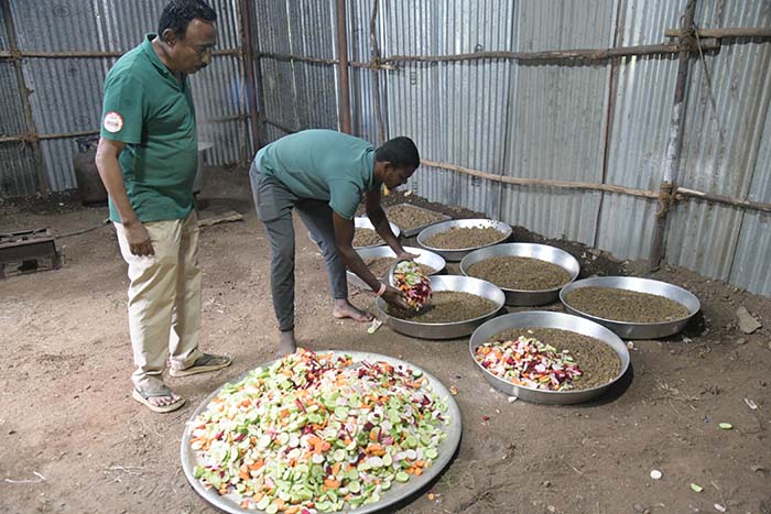 Jumbo-sized diet for Dasara elephants