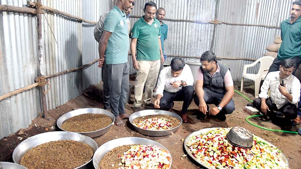 Jumbo-sized diet for Dasara elephants