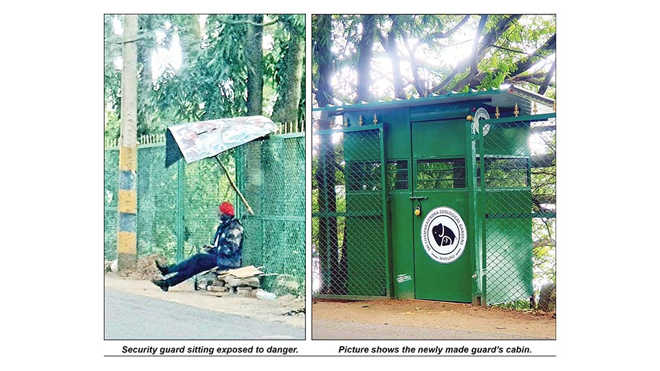 ‘Dasarafying’ Mysuru !