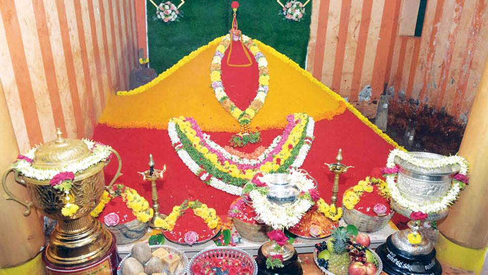 Dodda Matti Puja, the prelude to Dasara wrestling bouts