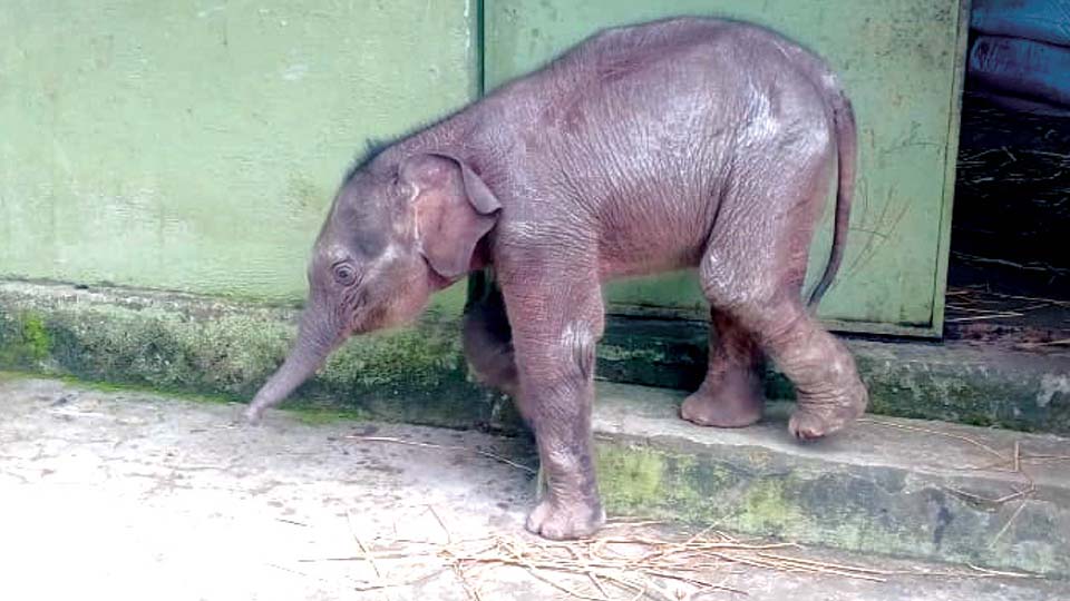 Karnataka shows motherly concern as Kerala displays stepmotherly attitude