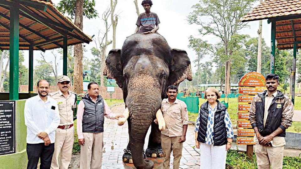 Will debutant Srikanta don Pattada Aane role?