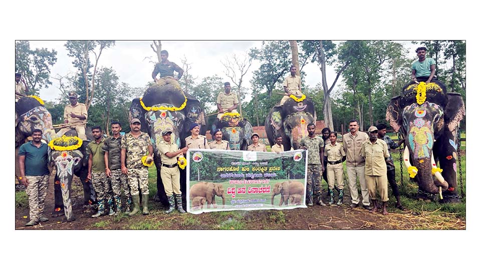 World Elephant Day today: Karnataka loses 380 elephants in 5 years