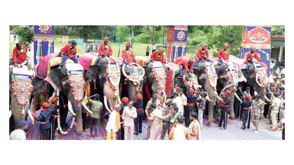 Traditional welcome awaits Dasara elephants at Palace