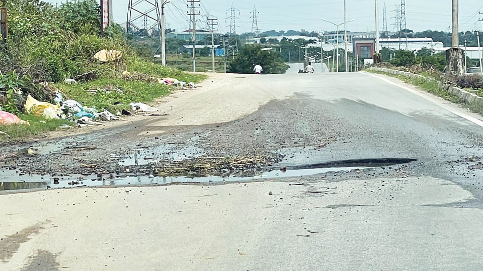 Are roads a glimpse into the future of MSMEs?