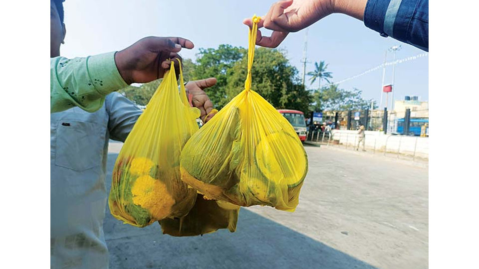 36,000 Muzrai temples to be plastic-free