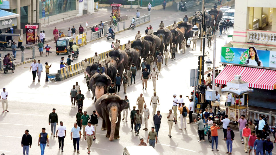 Second batch of 5 Dasara Jumbos arrive