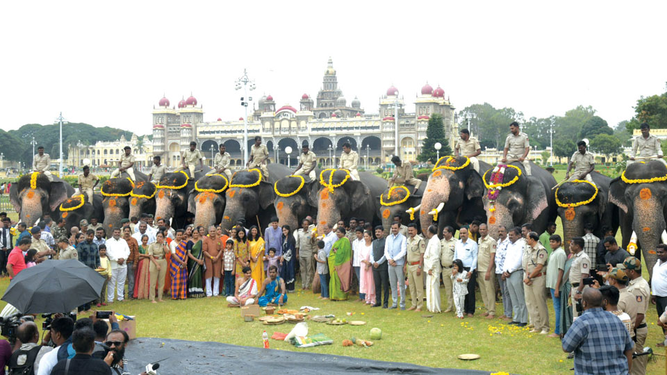 Gaja Puja to Jumbos