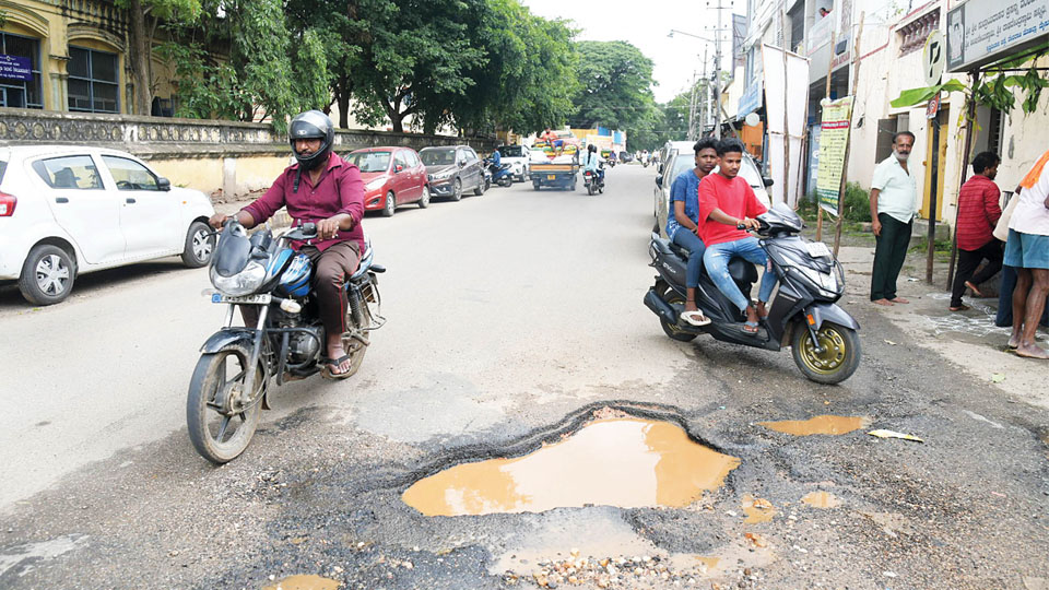Rs. 10 crore push to make city pothole-free for Dasara