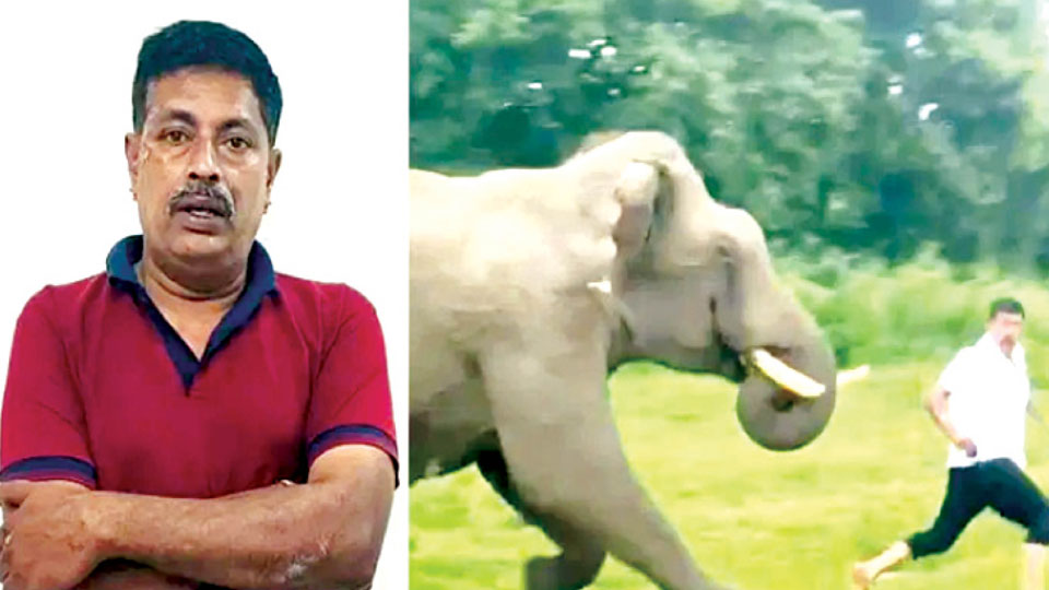 Man penalised for provoking wild elephant in Bandipur