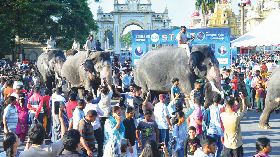 Second batch of five Dasara jumbos to arrive this evening