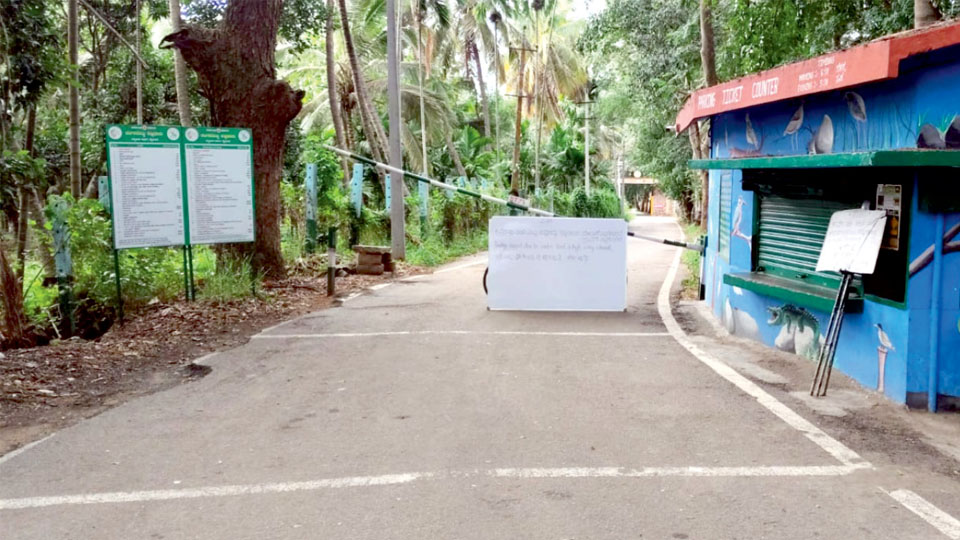 Tourists barred from entering Ranganathittu Bird Sanctuary