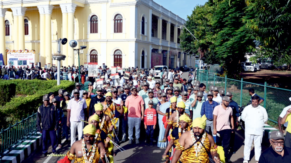 Heritage Walk calls for collective preservation