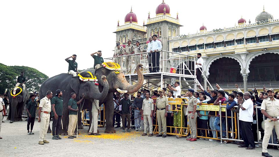 Jumboo Savari inauguration rehearsal held at Palace