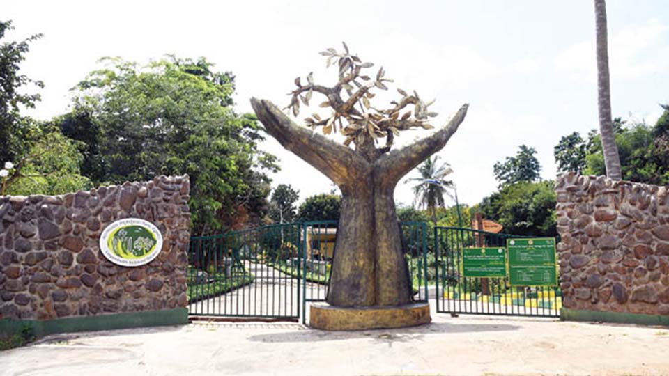 Debut Dasara Flower Show at Lingambudhi Botanical Garden