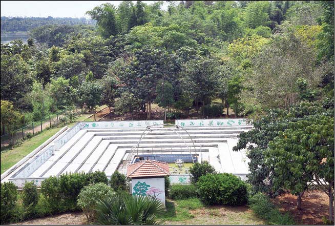 Lingambudhi Botanical Garden
