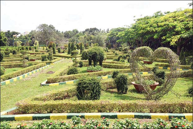 Lingambudhi Botanical Garden