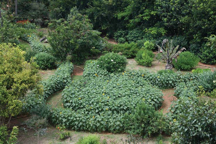 Lingambudhi Botanical Garden