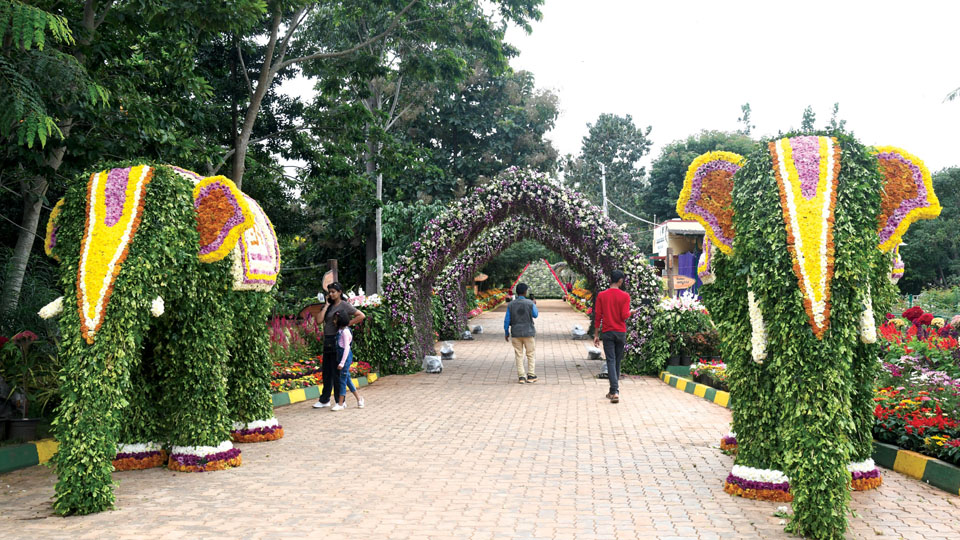 Lingambudhi Flower Show: The road not to be taken!