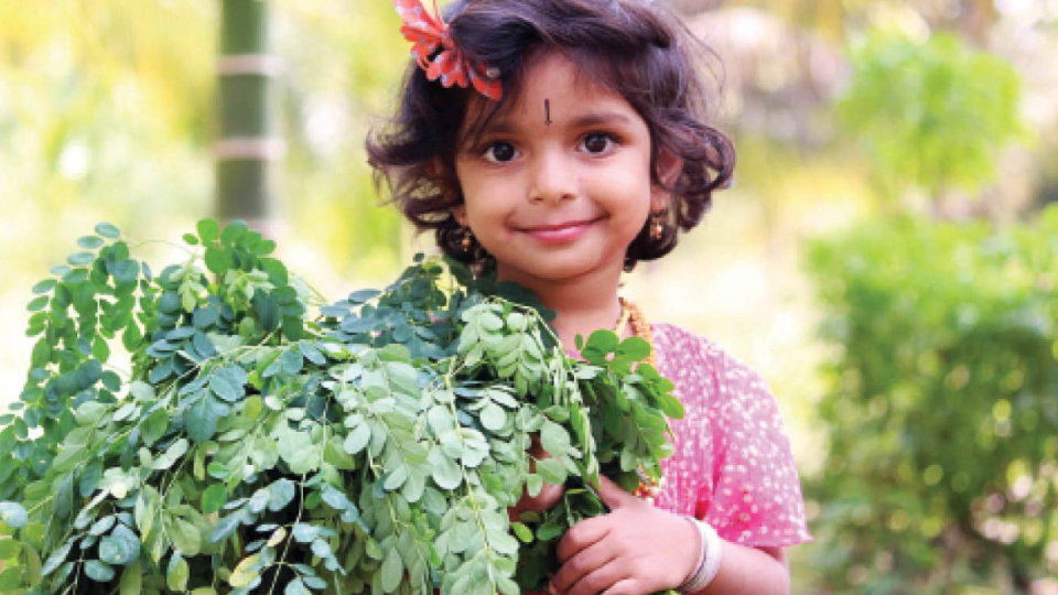 Two-day Soppu Mela from tomorrow