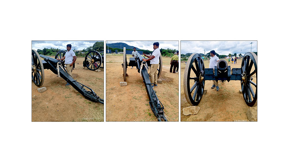 Wooden cannon