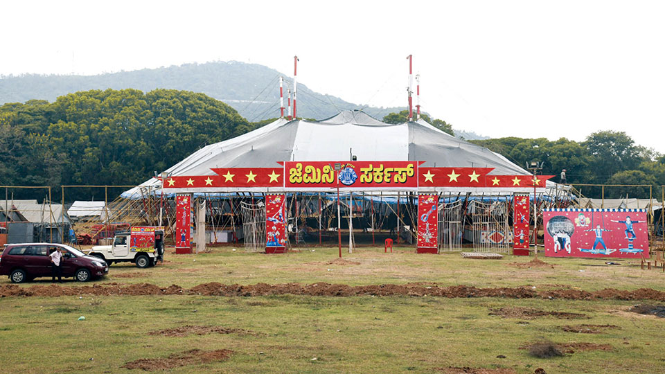 Circus comes to town