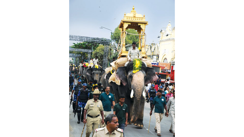 Mahendra carries wooden howdah to Bannimantap in 1 hour 15 minutes