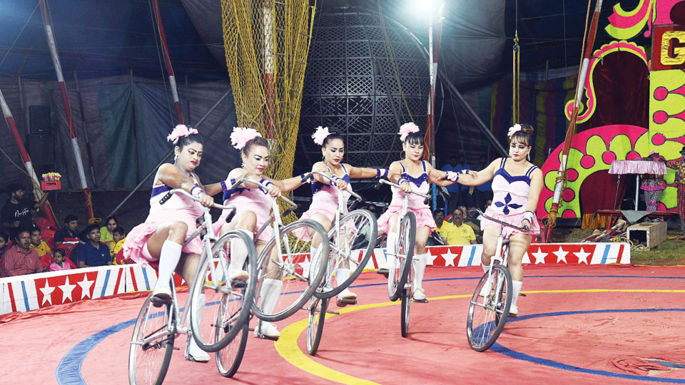 Gemini Circus begins in city