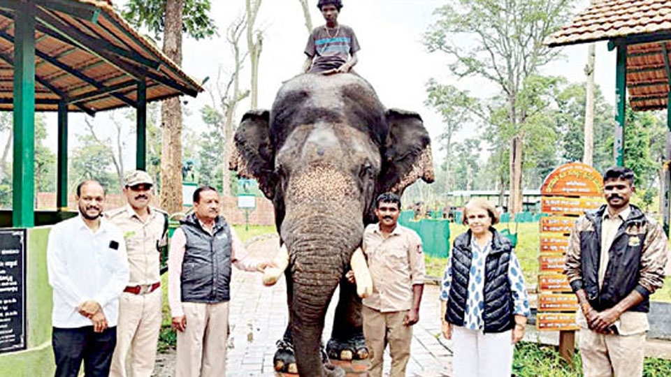 Dasara debutant Srikanta selected as Pattada Aane