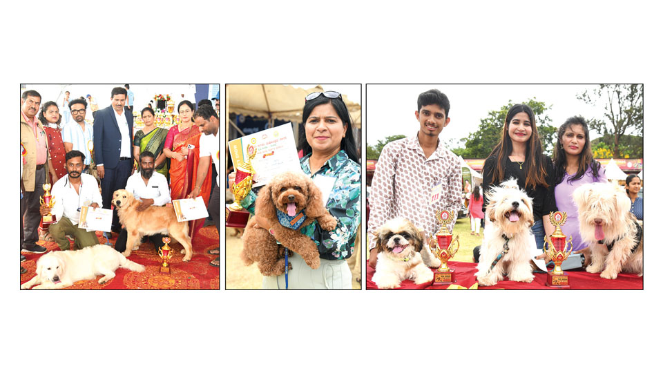 Prize winners of Dasara Pet Dog Show