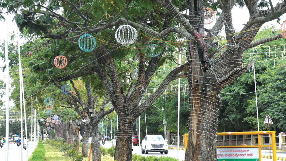 Trees to stay lit this Dasara