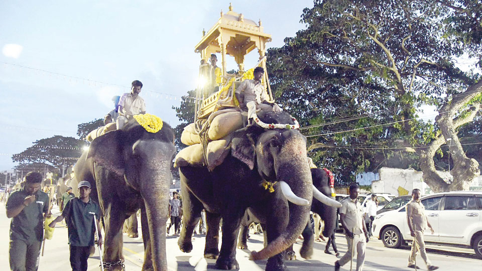 Dhananjaya carries wooden howdah on final day of weight training