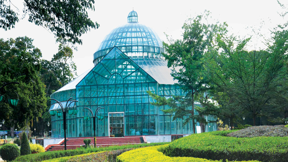 Dasara Flower Show at Kuppanna Park from Sept. 22 to Oct. 2: Gandhi Mandapam to bloom with 4 lakh flowers inside Glass House