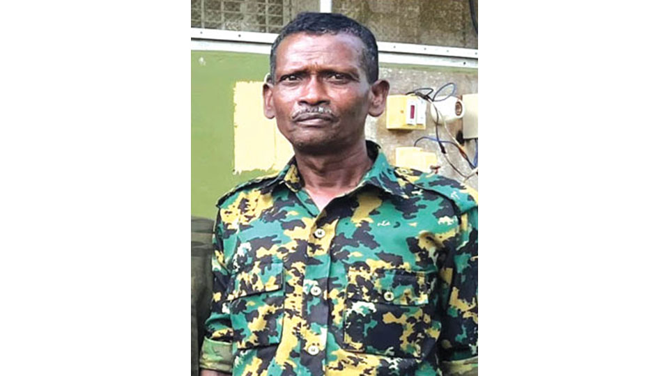 Forest staffer killed in wild elephant attack