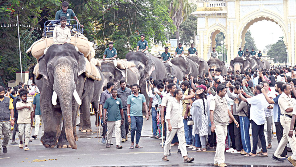 Dhananjaya undergoes weight training